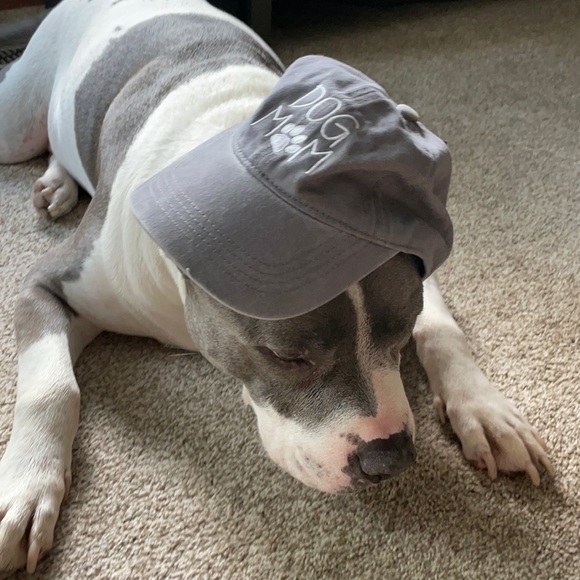 Dog Mom baseball hat - Picture 2 of 6